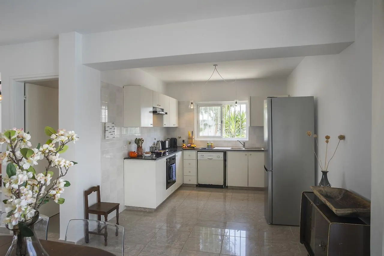 Villa Serene Ajia Napa Cypr